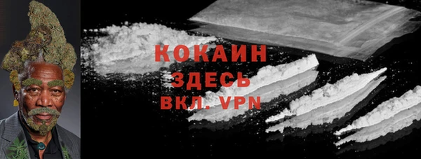 прущие крисы Абаза