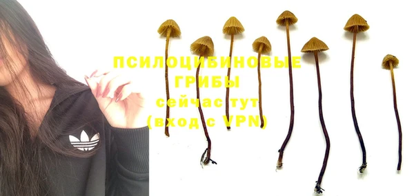 МДМА Абдулино