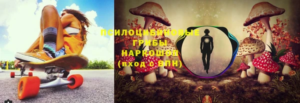 прущие крисы Абаза