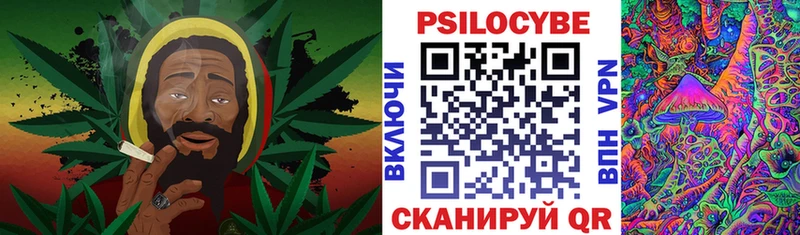 Галлюциногенные грибы прущие грибы  Рассказово 