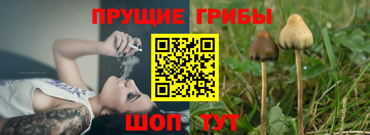 Рассказово  Галлюциногенные грибы мухоморы  Вход с VPN 